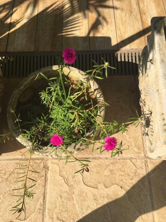 Pousada Florestinha Tamoios Dış mekan fotoğraf